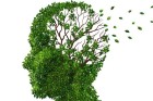 Vaincre la maladie d’Alzheimer ?