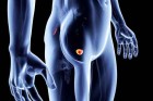 Cancer de la prostate : un nouvel espoir ?