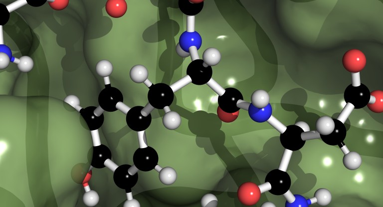 Un adolescent élabore un logiciel pour détecter des cellules cancéreuses