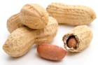 Les cacahuètes grillées plus susceptibles de déclencher une réaction allergique