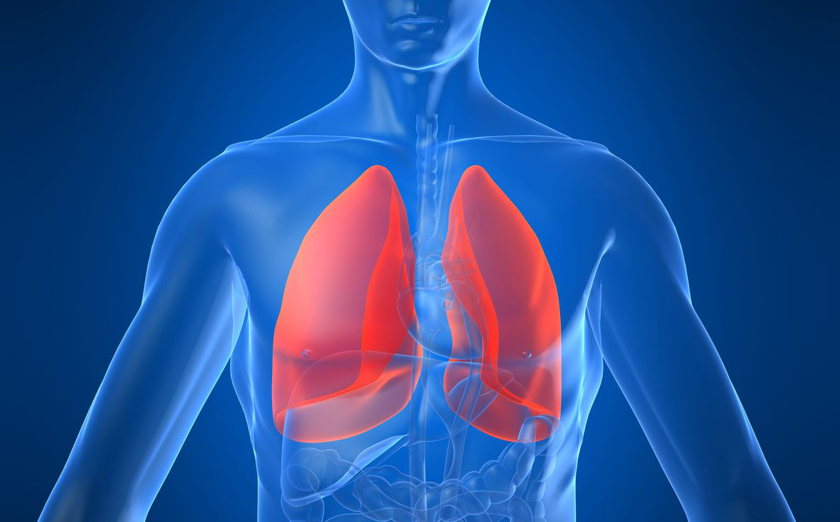 Fibrose pulmonaire idiopathique : encore trop de retards dans le ...