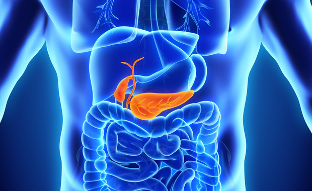 Le cancer du pancréas tue plus que les accidents de la route