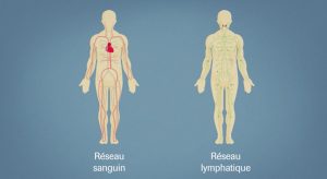 Tout comprendre sur les différences entre leucémies et lymphomes