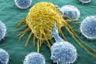 Cancer : réveillons le système immunitaire !