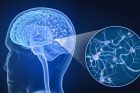 Parkinson : cibler le cerveau pour soulager la douleur
