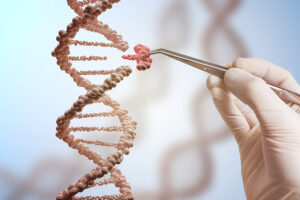 Une main remplace une partie d'une molécule d'ADN