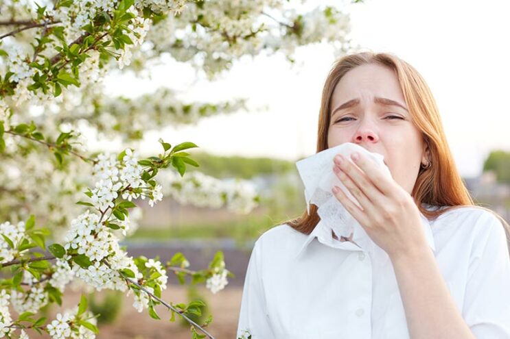 Allergie : un danger pour la santé (encore) trop sous-estimé